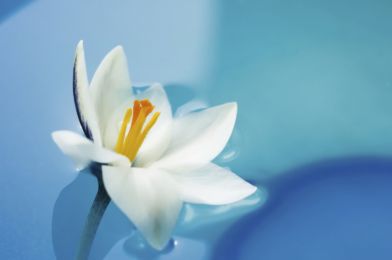 Ich wünsche Ihnen besinnliche Weih - Nachtszeit